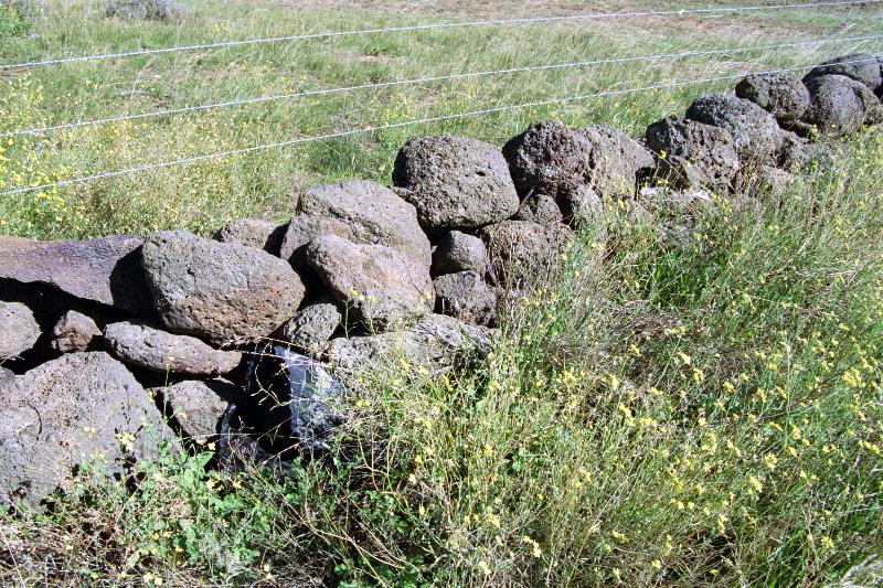 Dry Stone Wall B118