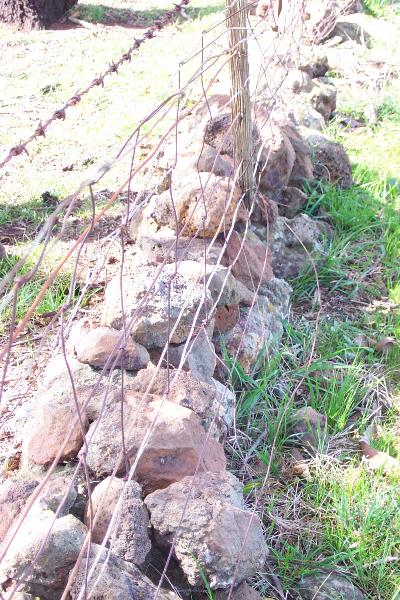 Dry Stone Wall B46