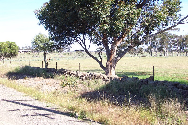 Dry Stone Wall G85