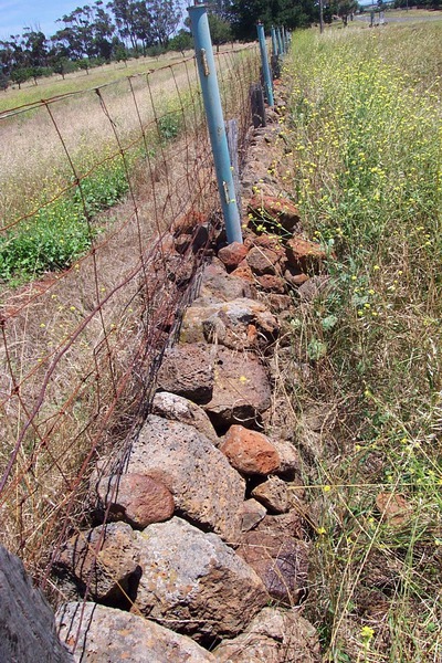 Dry Stone Wall D1