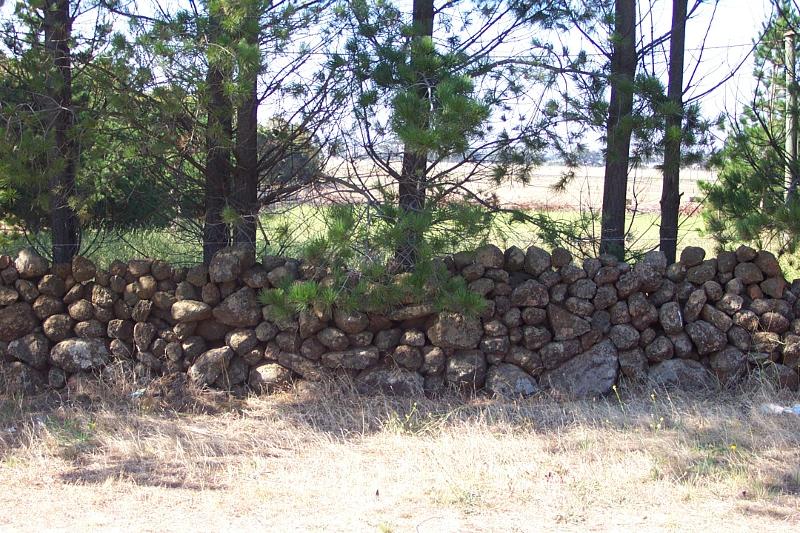 Dry Stone Wall D82