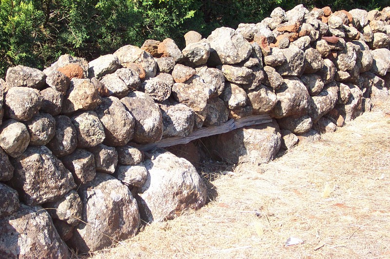 Dry Stone Wall D82