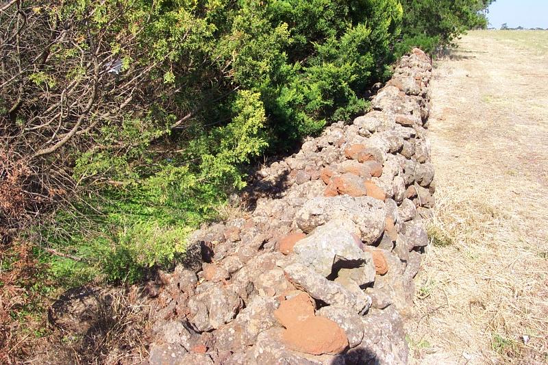 Dry Stone Wall D82