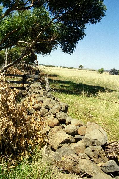Dry Stone Wall J134