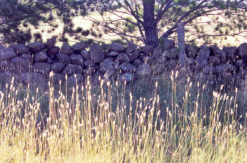 Dry Stone Wall J149
