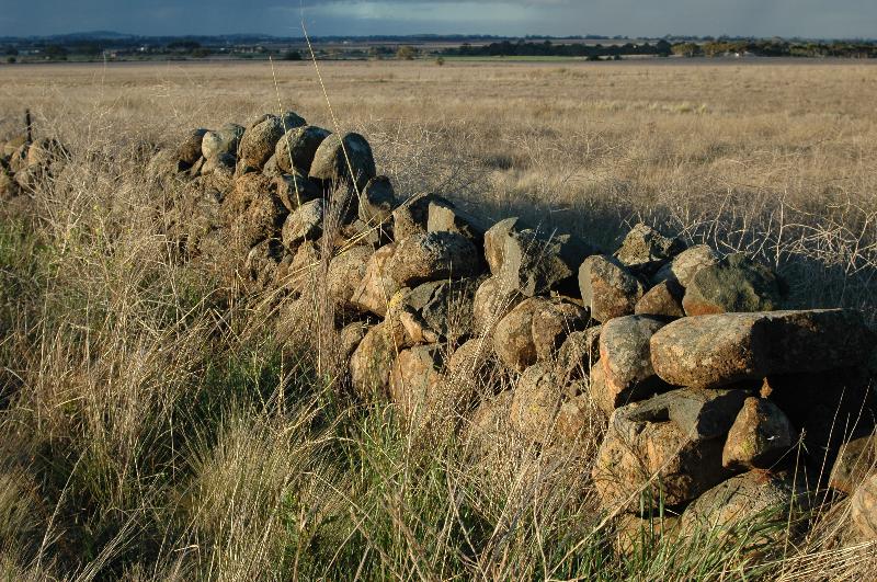 Dry Stone Wall N224