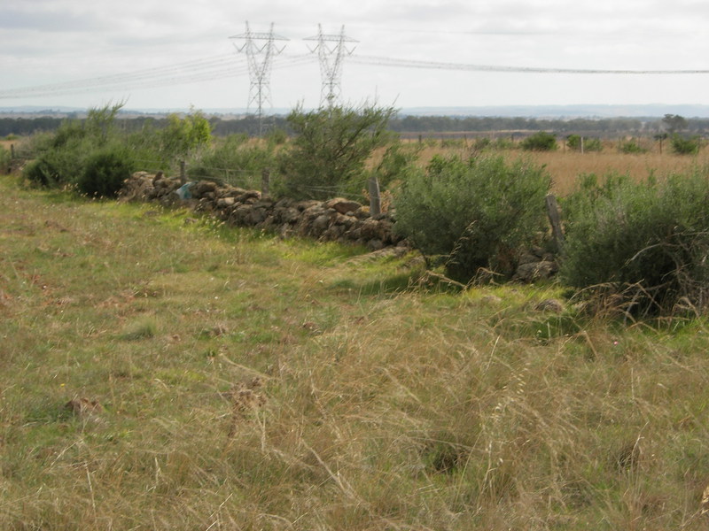 Dry Stone Wall K166 - south boundary