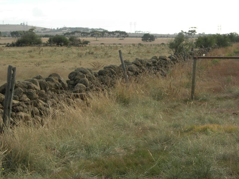 Dry Stone Wall F181 - western boundary