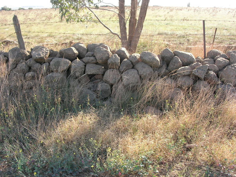 Dry Stone Wall F186 - southern boundary