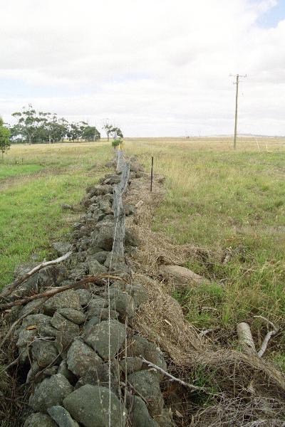 Dry Stone Wall B129 - northern boundary