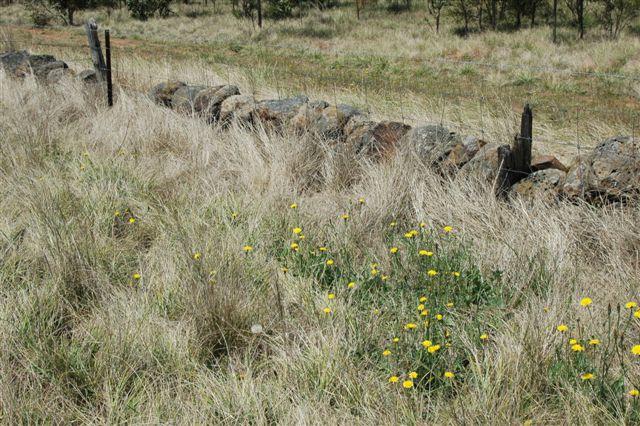 Dry Stone Wall B76