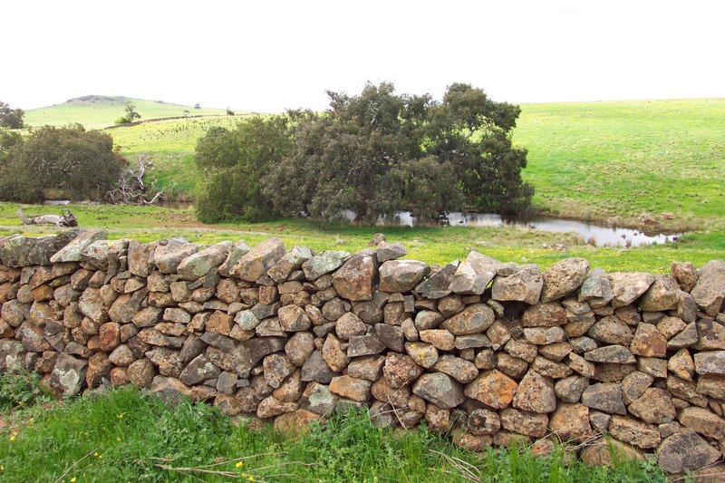 Dry Stone Wall A275
