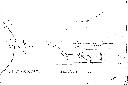 Figure 4: Moorpanyal Parish Plan put-away plan, M199C, Land Data online, showing church reservations. Source: Landata online