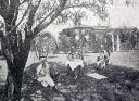 Figure 19: James McPhillimy and his sisters in the garden of 'Minnewanka', 1929. Source: Geelong Advertiser, 6 March 1929.