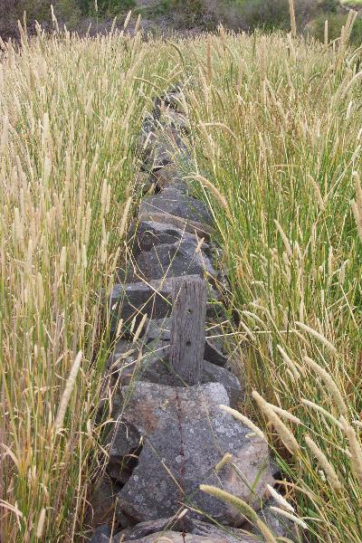 Deanside - Dry Stone Wall