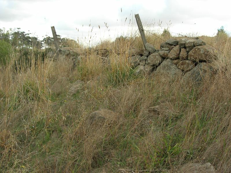 Dry Stone Wall N228 - Internal Wall - North of the Kororoit Creek