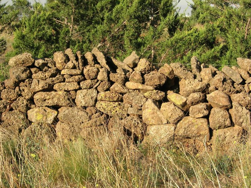 Dry Stone Wall N240 - Sinclairs Road Boundary