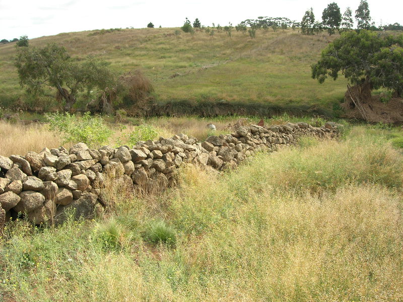 Dry Stone Wall N229 - Property Boundary