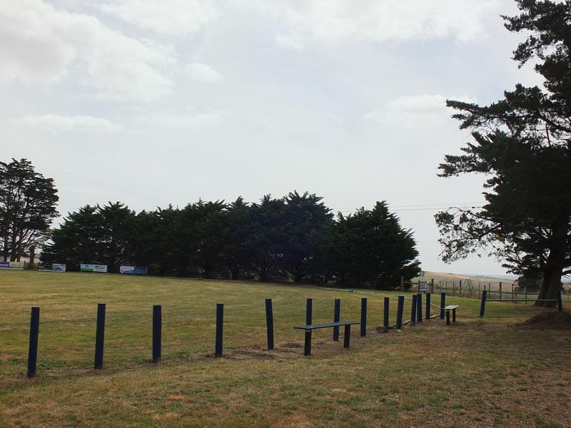 Photo 5: Semi-mature Cypress trees in the north-east corner of reserve, 2016.