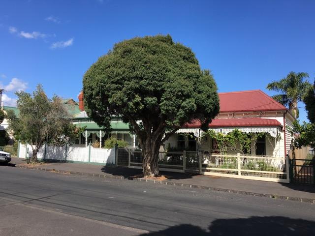 Tinning Street Precinct - nos. 145 &amp; 147