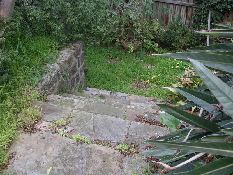 2017, rear garden.JPG