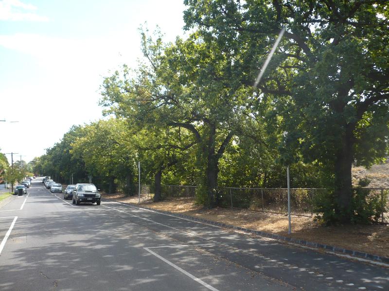 Queens Avenue &amp; Burton Crescent