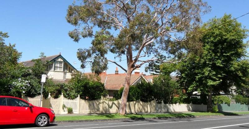 Smith's paddock - Edwardian houses on Burwood Road - eastern portion.jpg