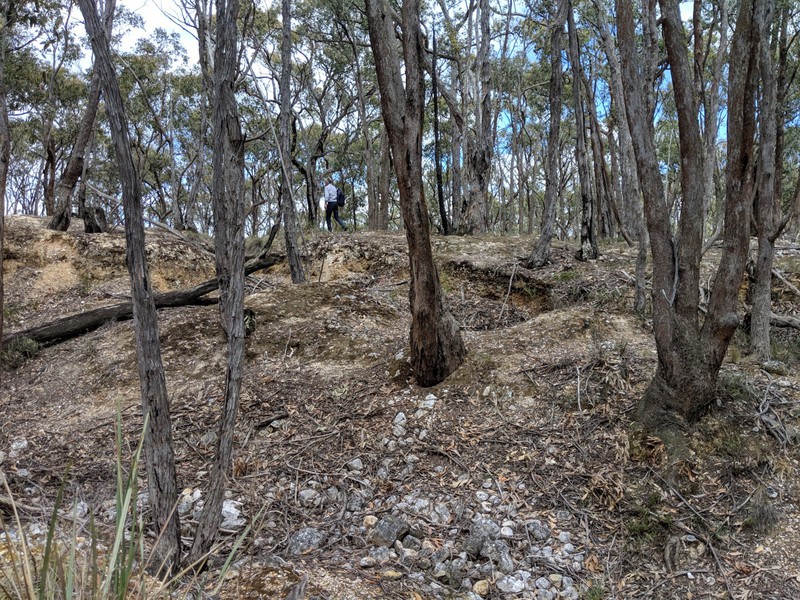 Sluice Pit (December 2019)