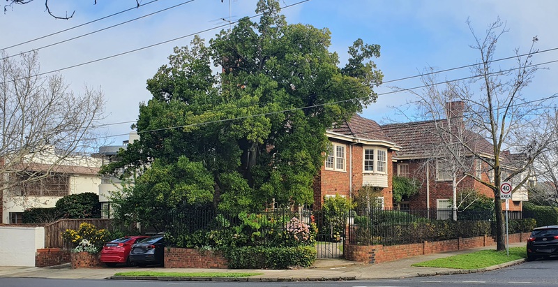 1A Coolullah Ave South Yarra