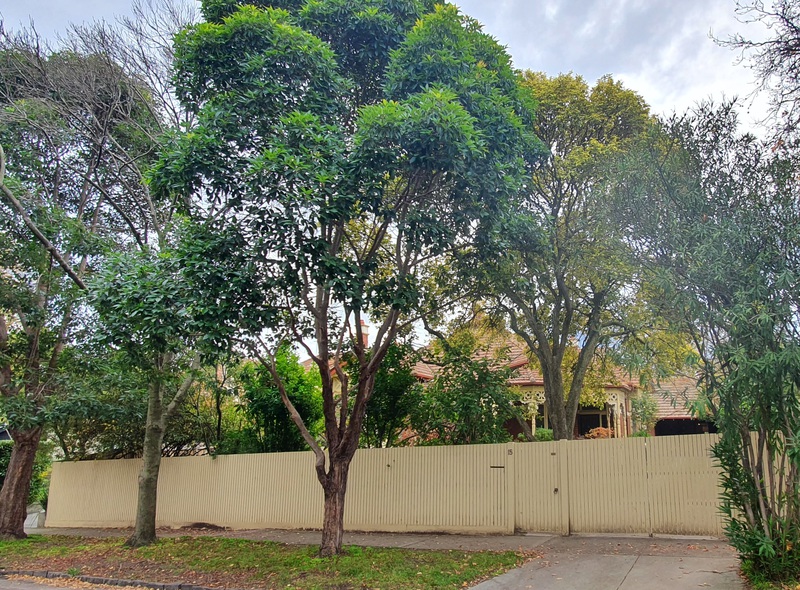 15 Munro Street, Armadale