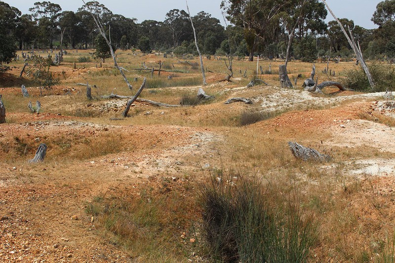 OLD 2019 Surface view of remnant shafts facing south