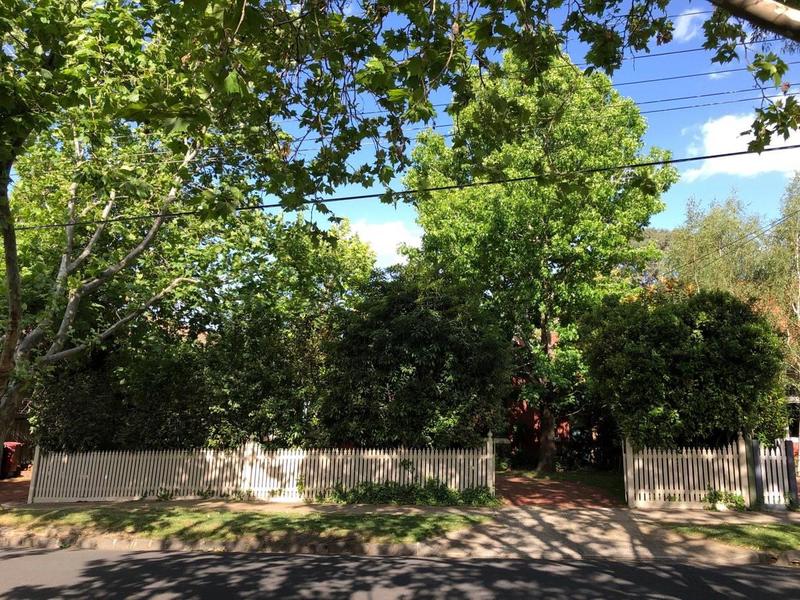 164 Finch Street, Glen Iris.jpeg