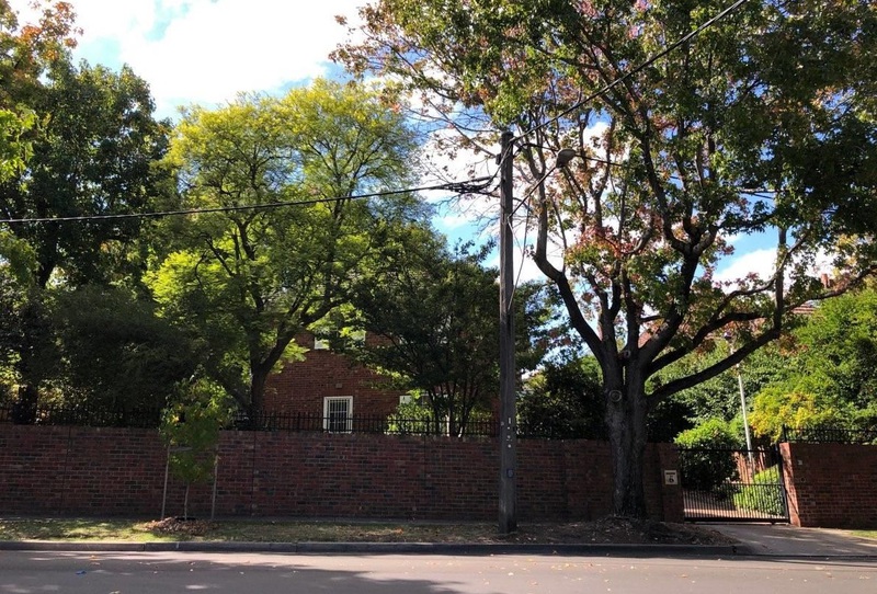 31 Montalto Avenue, Toorak