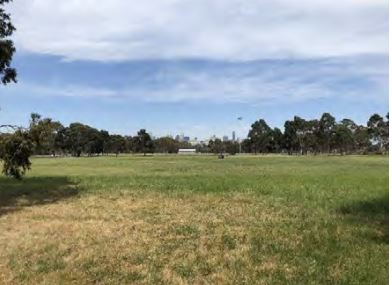 2019 location of asylum cricket ground