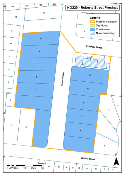 Roberts Street Precinct Map