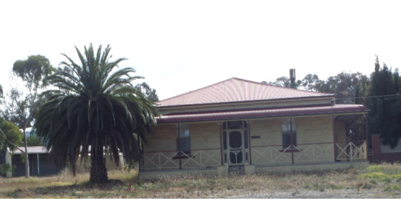 House and Canary Island palm, 16 Crook Street