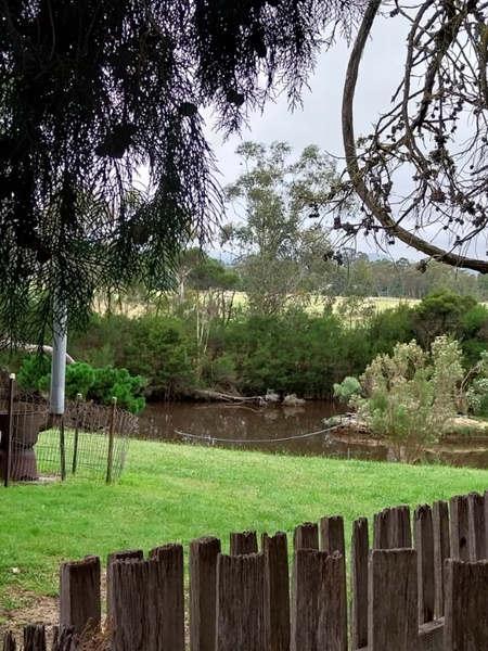 View from garden to the dam, 2023.