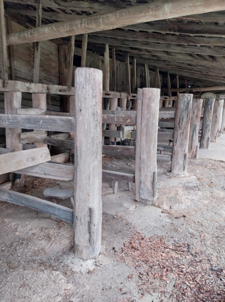 Milking shed, 2023.